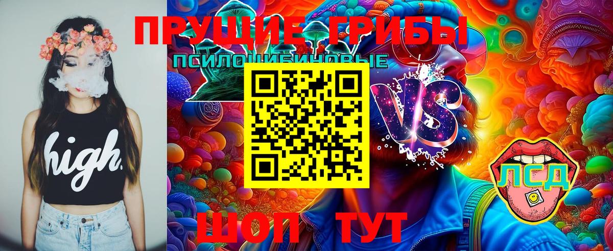 Псилоцибиновые грибы Psilocybine cubensis  Вход с VPN  где продают   Десногорск 