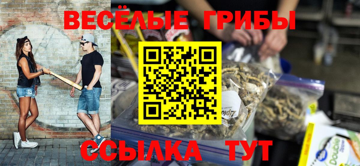 Галлюциногенные грибы Psilocybine cubensis Десногорск